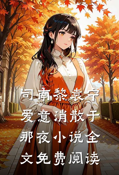 司南黎袁宁爱意消散于那夜小说全文免费阅读