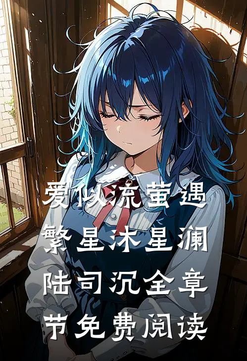 爱似流萤遇繁星沐星澜陆司沉全章节免费阅读