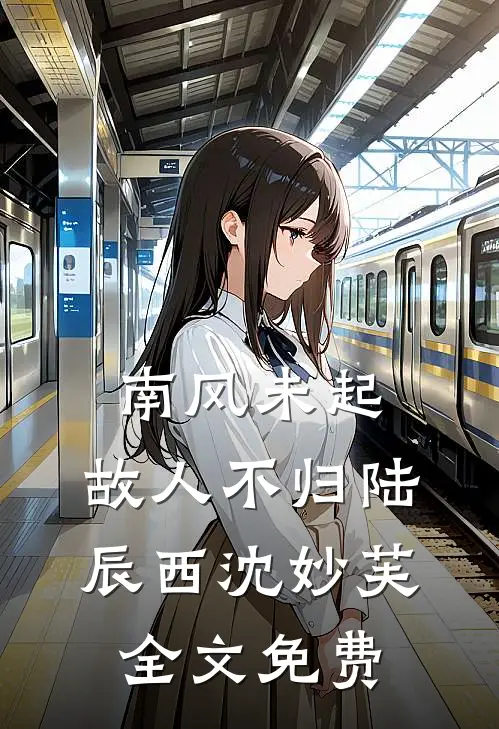 南风未起，故人不归陆辰西沈妙芙全文免费