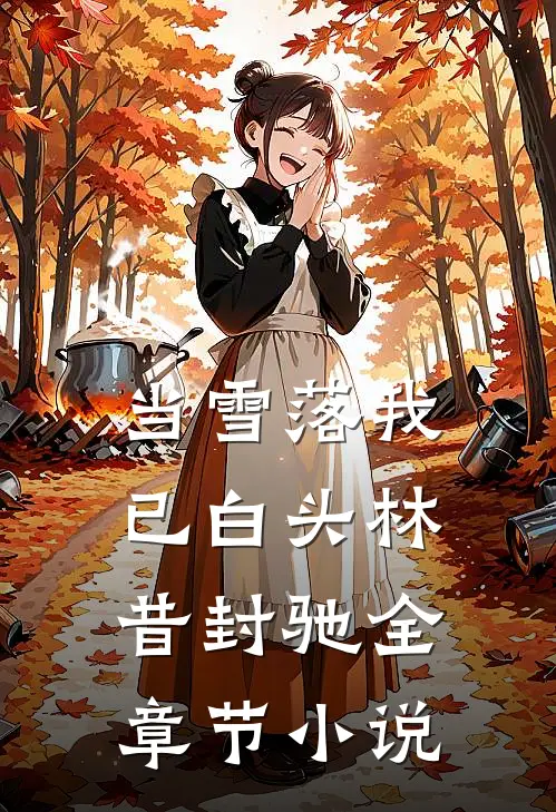 当雪落我已白头林昔封驰全章节小说