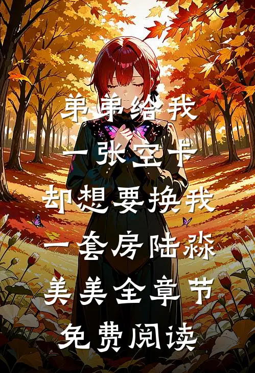 弟弟给我一张空卡，却想要换我一套房陆淼美美全章节免费阅读