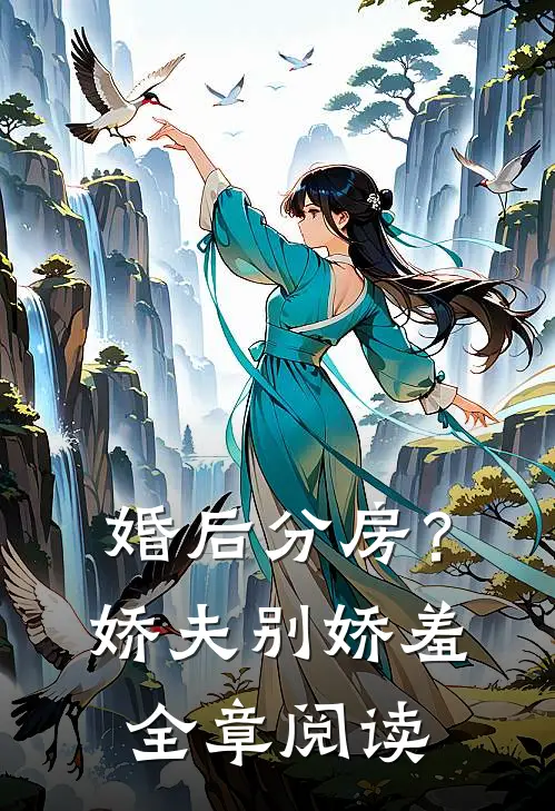 婚后分房？娇夫别娇羞全章阅读