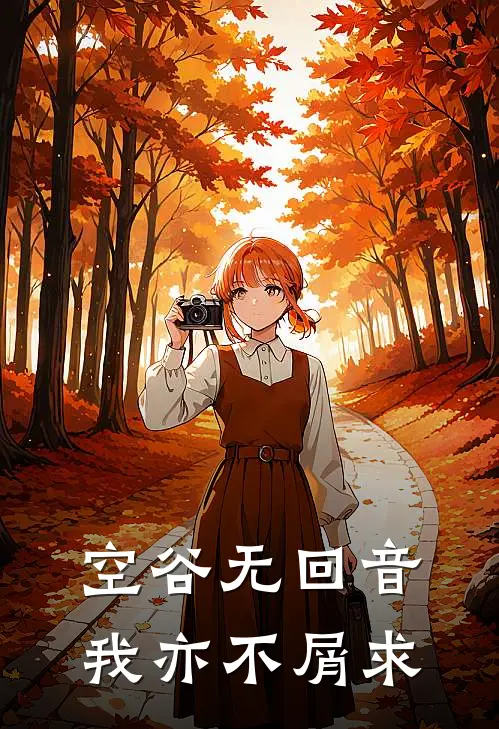 空谷无回音，我亦不屑求