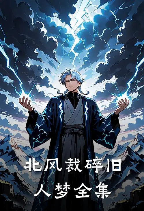 北风裁碎旧人梦全集