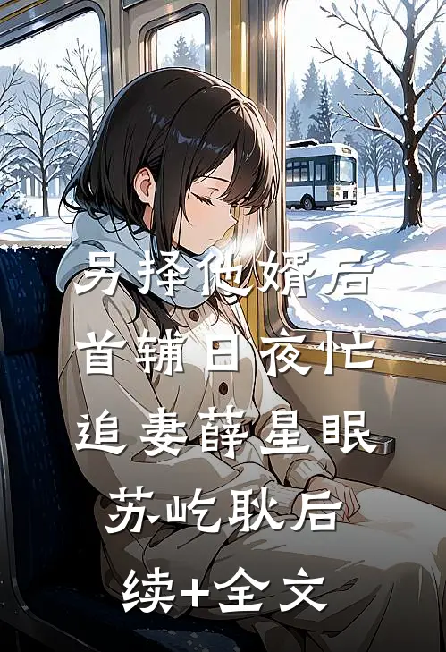 另择他婿后，首辅日夜忙追妻薛星眠苏屹耿后续+全文