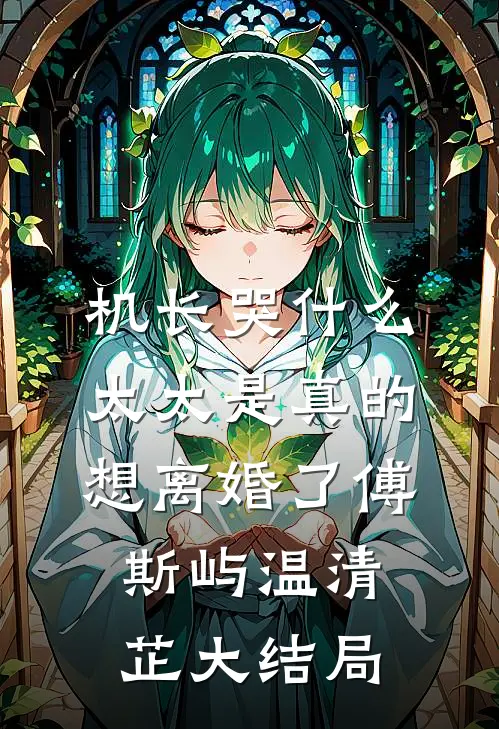 机长哭什么，太太是真的想离婚了傅斯屿温清芷大结局
