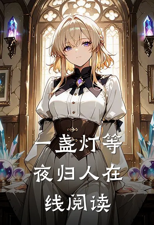 一盏灯等夜归人在线阅读