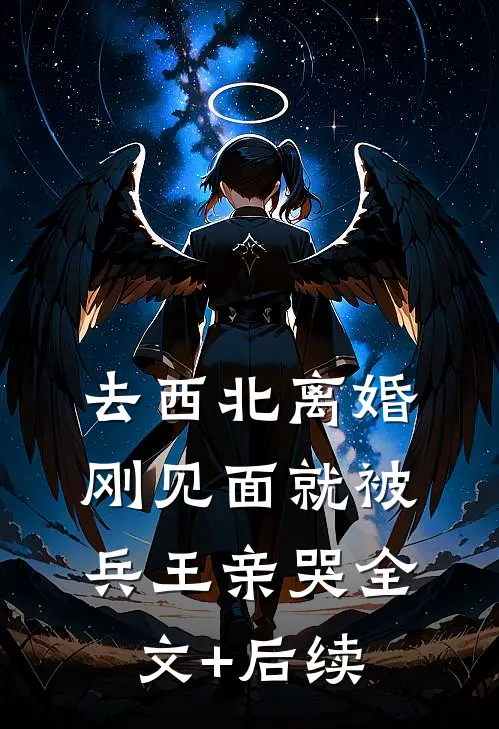 去西北离婚，刚见面就被兵王亲哭全文+后续