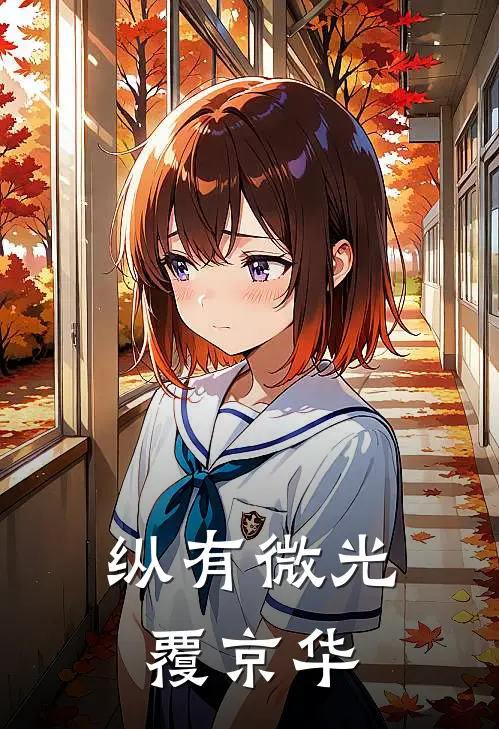 纵有微光覆京华