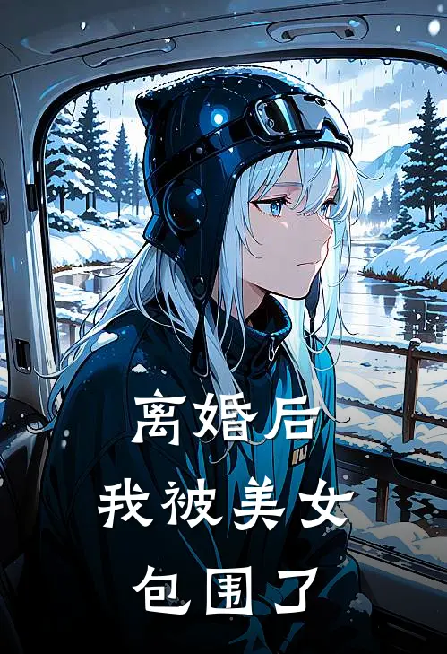 离婚后，我被美女包围了